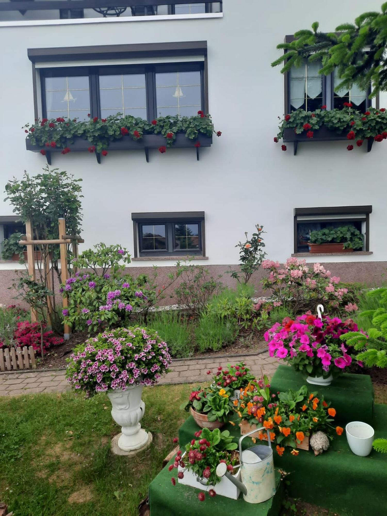Ferienwohnung"Harzliebe" Gernrode  Екстериор снимка